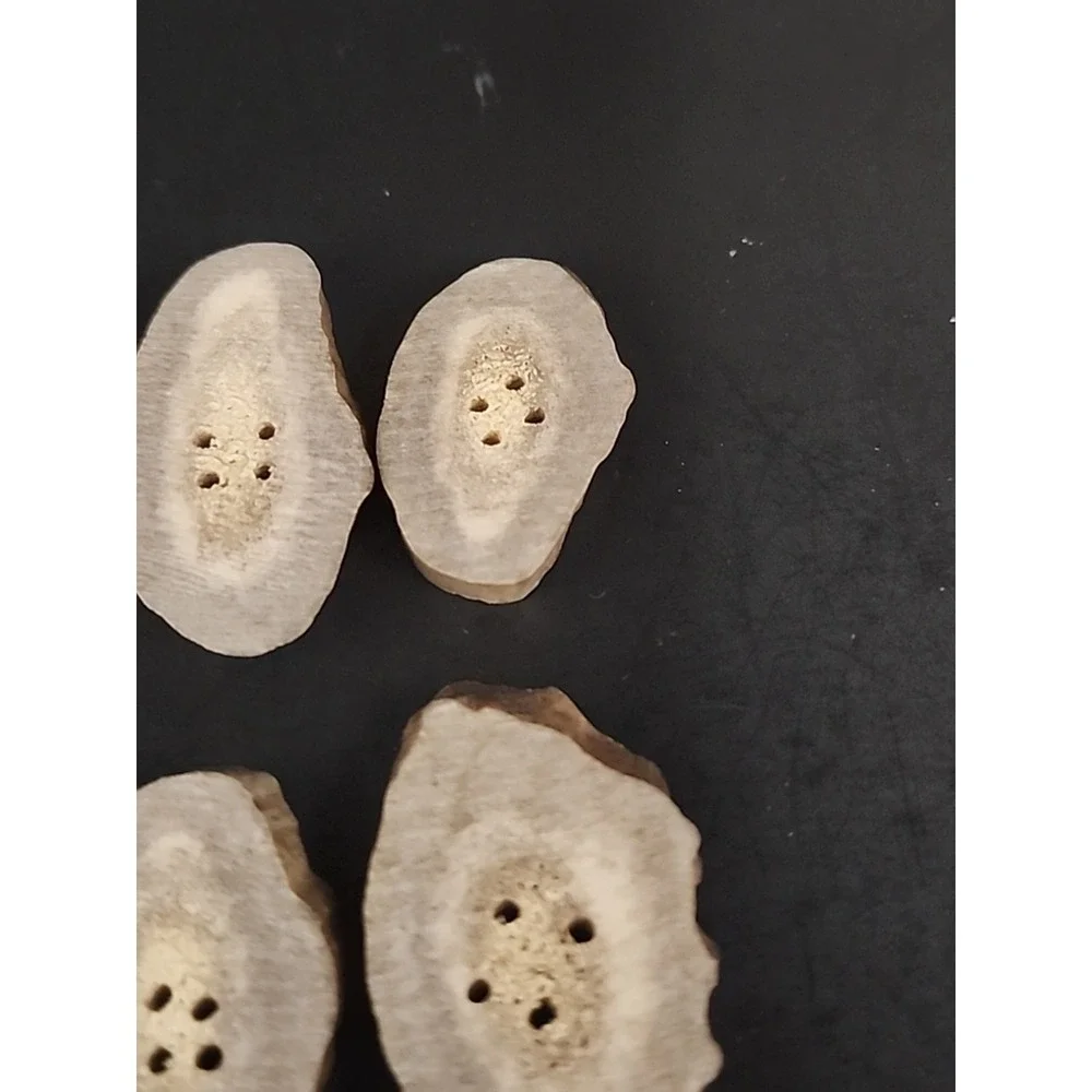 6 Piece Set Of Raw Antler Buttons 1.25